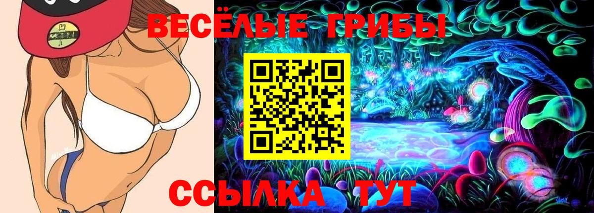 Псилоцибиновые грибы GOLDEN TEACHER Пыть-Ях