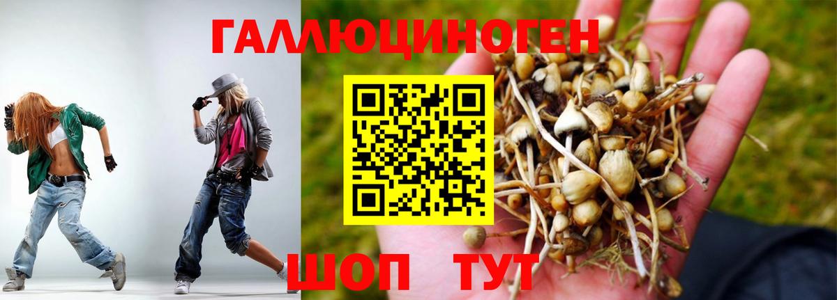 где продают   Галлюциногенные грибы MAGIC MUSHROOMS  Вход с VPN  Галлюциногенные грибы мицелий  Пыть-Ях 